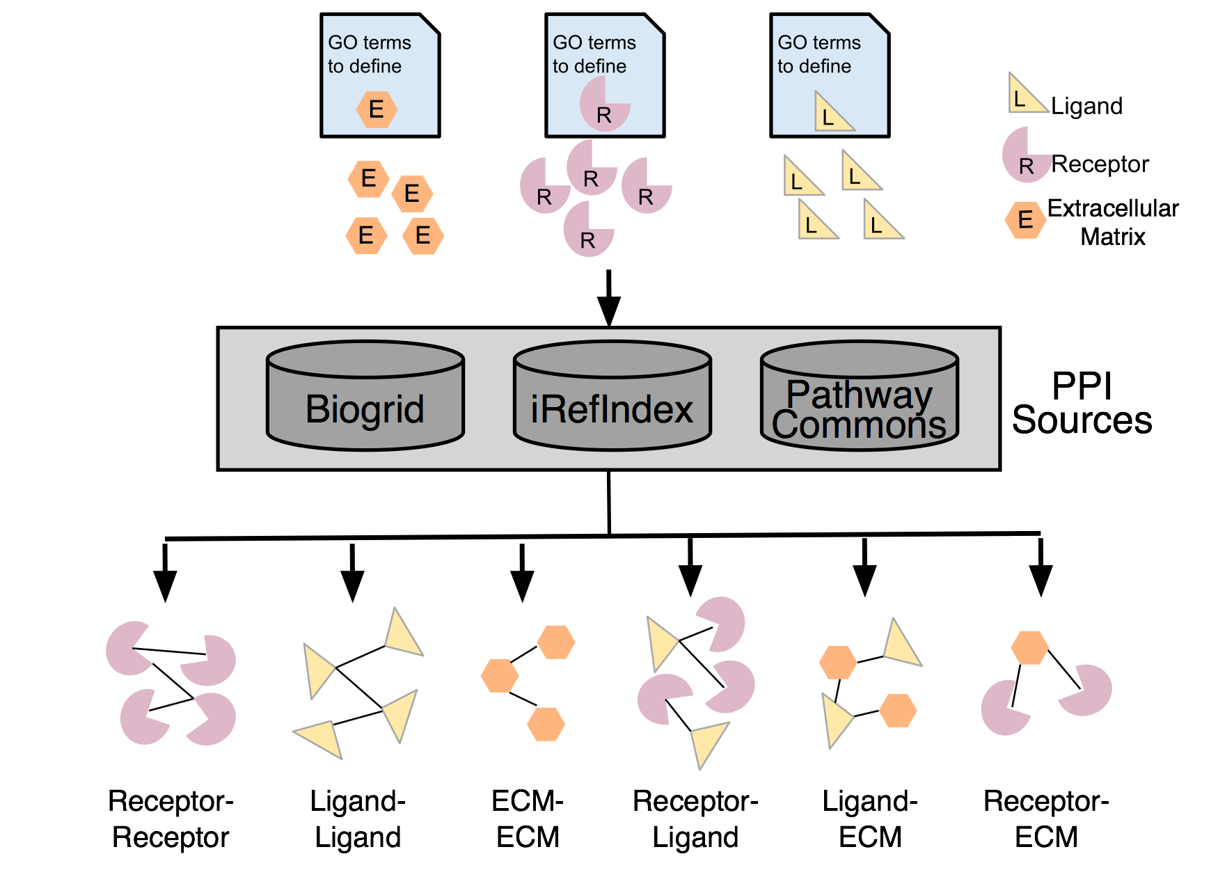 Network creation flowchart