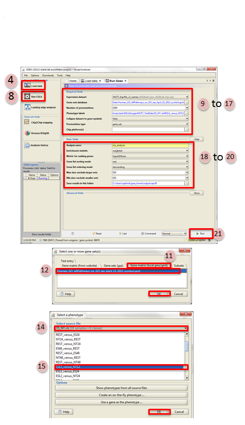 Screenshot GSEA Input Panel