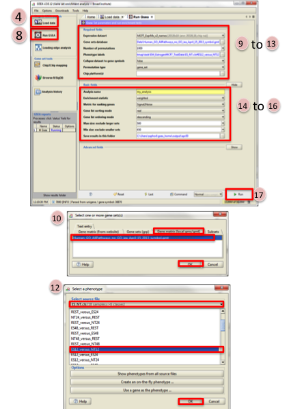 Screenshot GSEA Input Panel