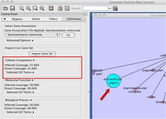 example_goslimmer_2_4b.jpg